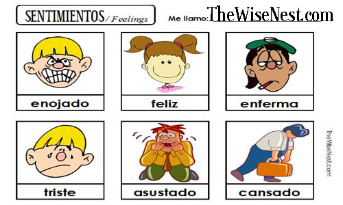 Sentimientos - Feelings - The Wise Nest