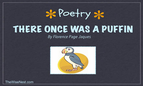 there once was a puffin by florence page jaques there once was a puffin by florence page jaques
